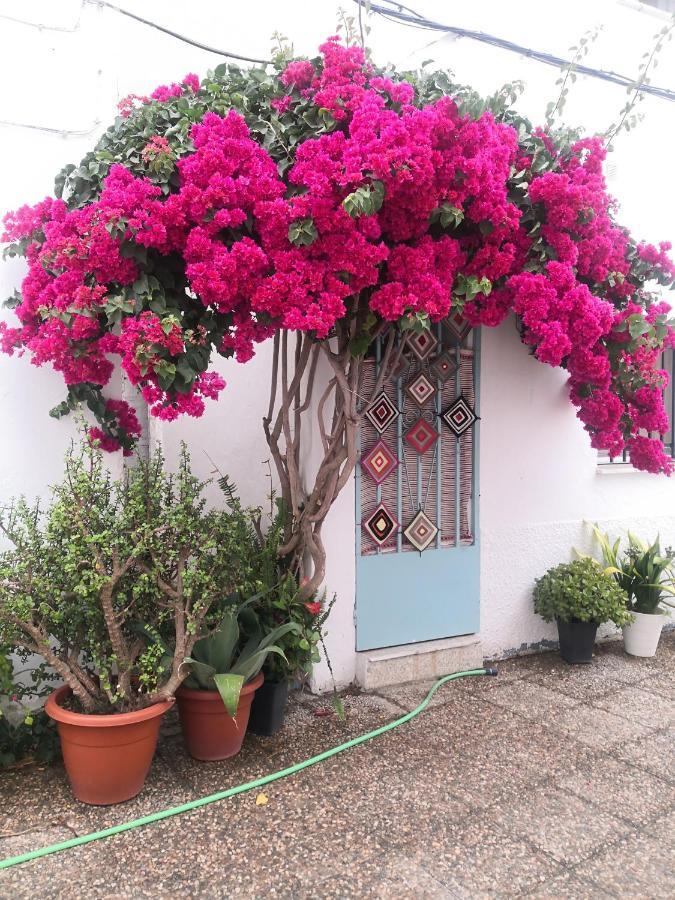 Appartement Corazon De Conil à Conil De La Frontera Extérieur photo