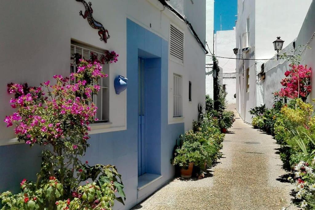 Appartement Corazon De Conil à Conil De La Frontera Extérieur photo