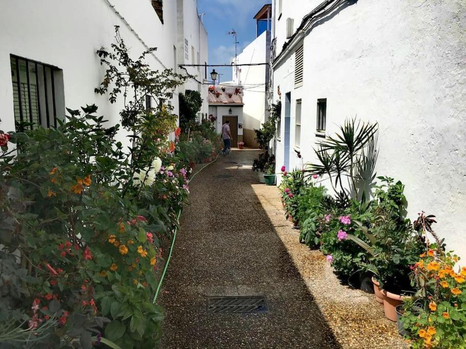 Appartement Corazon De Conil à Conil De La Frontera Extérieur photo