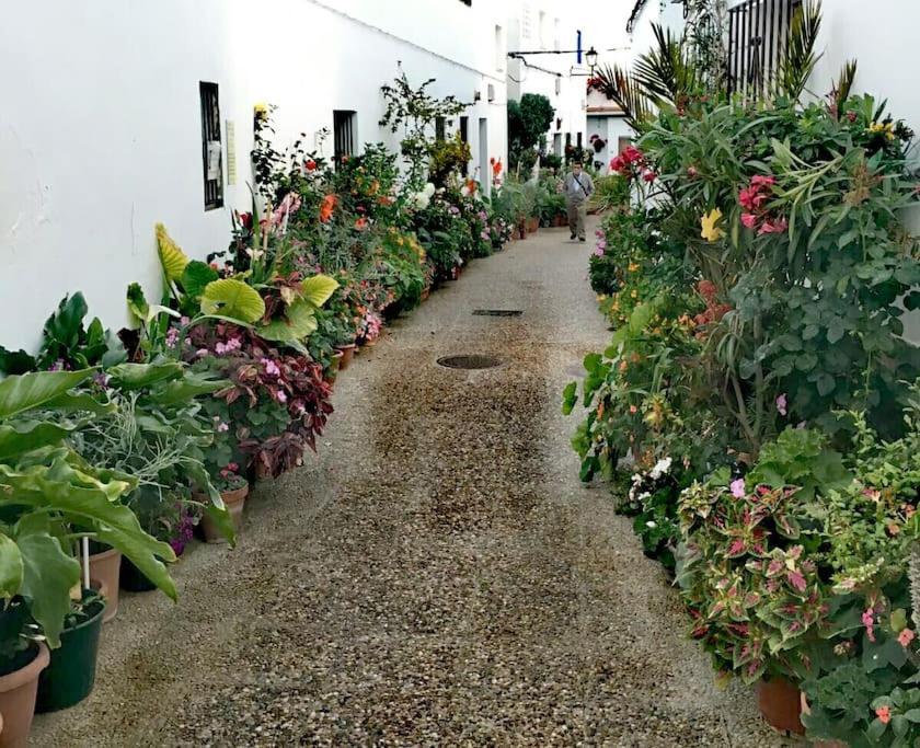 Appartement Corazon De Conil à Conil De La Frontera Extérieur photo
